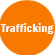 Establishing Cooperation Against Trafficking in Women and Children